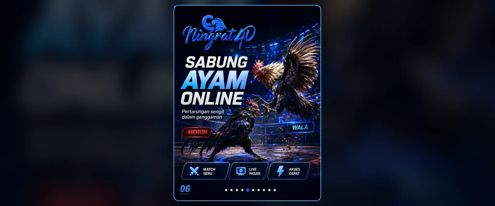 NINGRAT4D Sabung Ayam